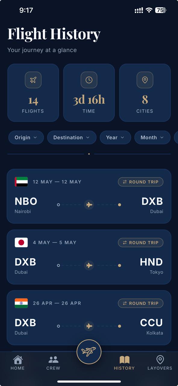 Sky Journey career stats screen showing flights, hours and cities